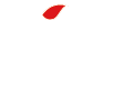 Accent School of Polish